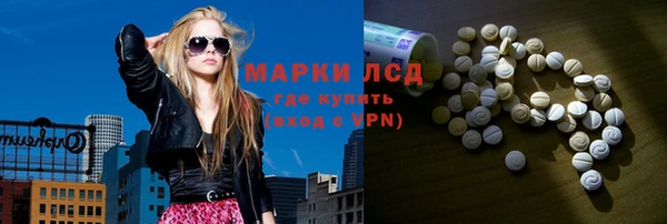 ПСИЛОЦИБИНОВЫЕ ГРИБЫ Ладушкин