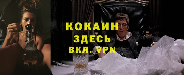 ПСИЛОЦИБИНОВЫЕ ГРИБЫ Ладушкин