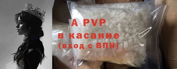 ПСИЛОЦИБИНОВЫЕ ГРИБЫ Ладушкин