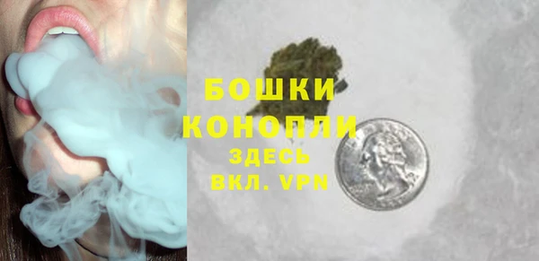ПСИЛОЦИБИНОВЫЕ ГРИБЫ Ладушкин