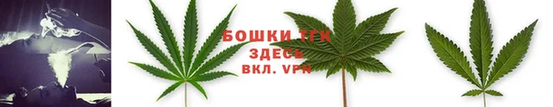 ПСИЛОЦИБИНОВЫЕ ГРИБЫ Ладушкин